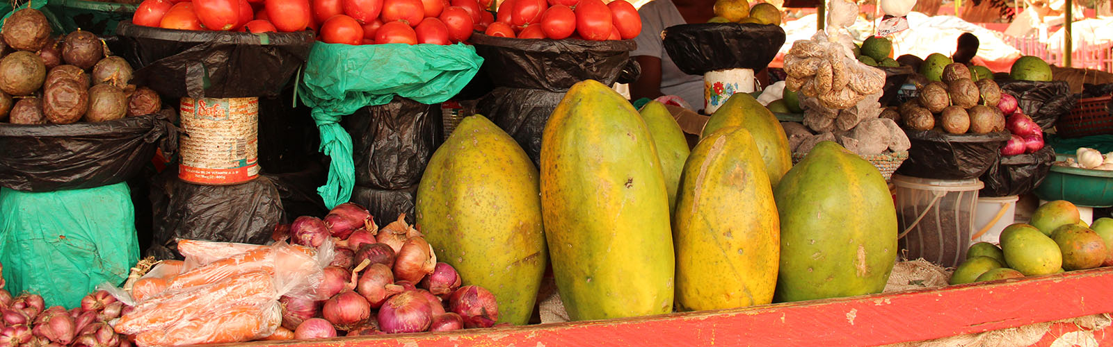Onions, tomatoes, garlic, and other fruits and vegetables on a large table.